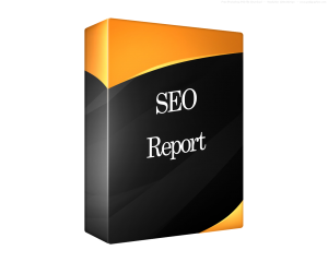 SEO Analysis Report
