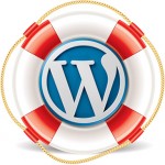 Wordpress premium support